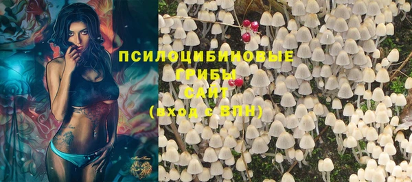 прущие грибы Алексеевка